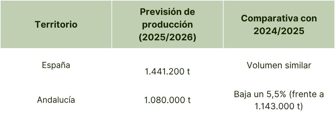 Aceite de Oliva España campaña 2025-2026 (1).jpg